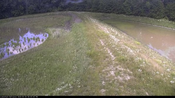 Cell 4 to Basin_24-05-30_16-03-06-35