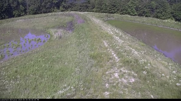 Cell 4 to Basin_24-05-30_16-36-36-31