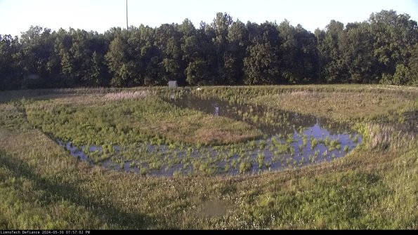 Cell 4_24-05-30_19-57-03-34