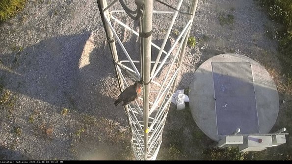 Hatch_24-05-30_19-58-42-34