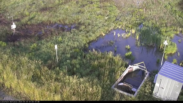 Weather & Flume_24-05-30_07-08-18-53