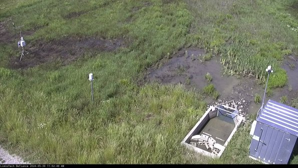 Weather & Flume_24-05-30_11-02-41-33