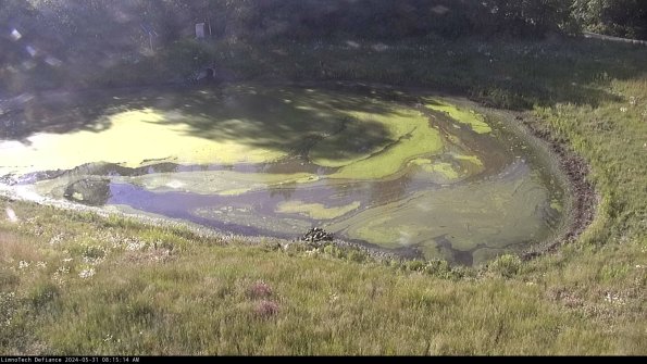 Basin Right_24-05-31_08-15-15-34