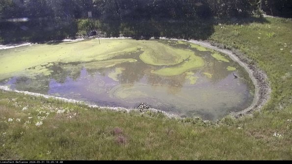 Basin Right_24-05-31_10-29-15-33