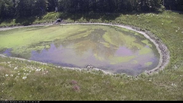 Basin Right_24-05-31_11-36-13-33