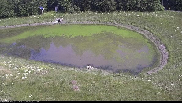 Basin Right_24-05-31_15-30-38-33