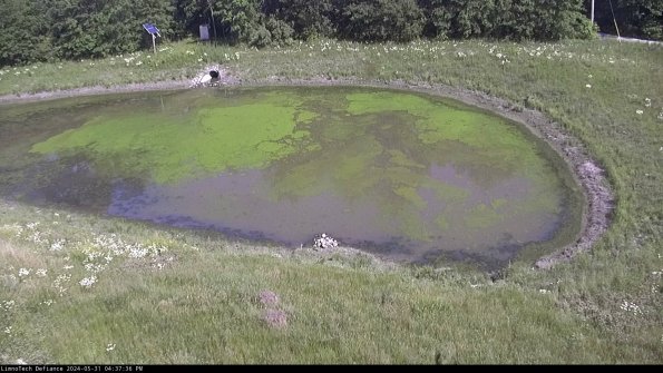 Basin Right_24-05-31_16-37-37-34