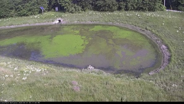 Basin Right_24-05-31_17-11-05-32