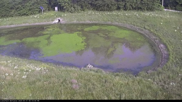 Basin Right_24-05-31_18-18-05-36