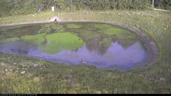 Basin Right_24-05-31_19-58-34-35