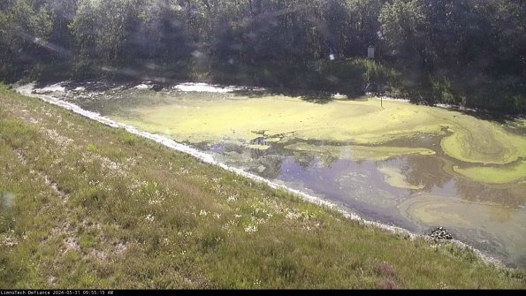 Basin_24-05-31_09-55-15-47