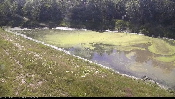 Basin_24-05-31_10-28-44-49