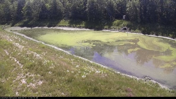 Basin_24-05-31_11-02-14-42