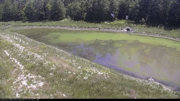 Basin_24-05-31_13-16-11-49