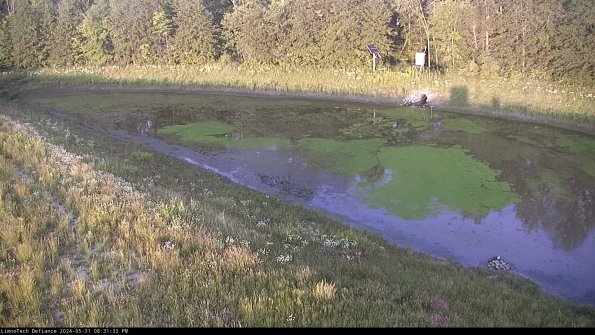 Basin_24-05-31_20-31-32-48