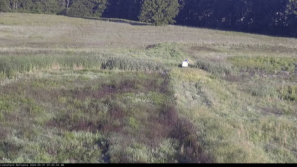 Cell 1 to 2_24-05-31_07-05-55-32