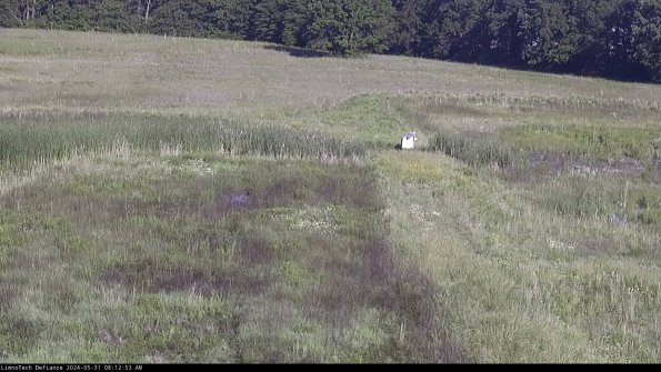 Cell 1 to 2_24-05-31_08-12-54-33