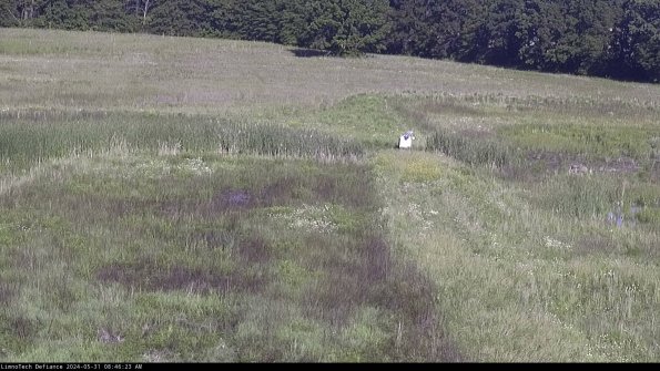 Cell 1 to 2_24-05-31_08-46-24-35