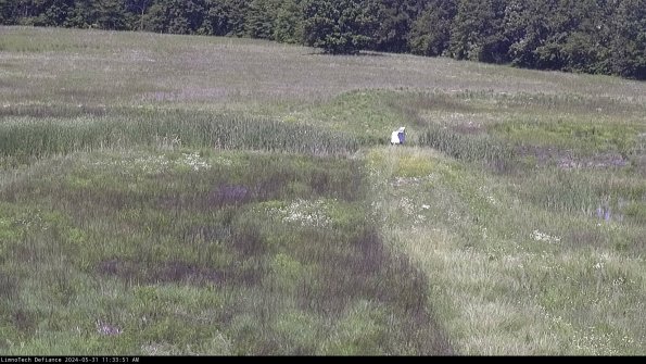 Cell 1 to 2_24-05-31_11-33-52-32