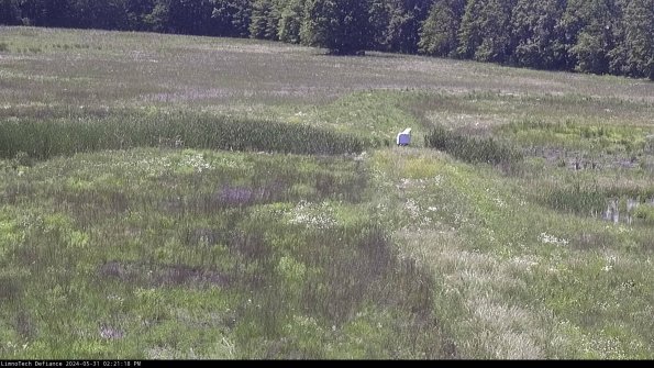 Cell 1 to 2_24-05-31_14-21-19-32