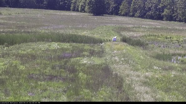 Cell 1 to 2_24-05-31_14-54-48-34