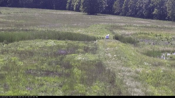 Cell 1 to 2_24-05-31_16-01-46-31