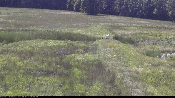 Cell 1 to 2_24-05-31_16-35-17-33