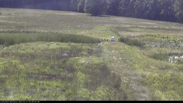 Cell 1 to 2_24-05-31_17-08-45-35