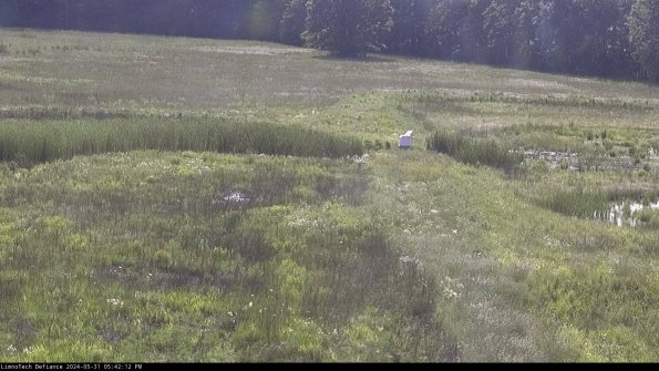 Cell 1 to 2_24-05-31_17-42-13-33