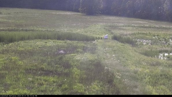 Cell 1 to 2_24-05-31_18-15-43-32