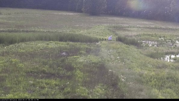 Cell 1 to 2_24-05-31_18-49-13-34