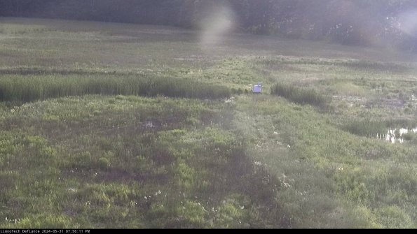 Cell 1 to 2_24-05-31_19-56-12-35