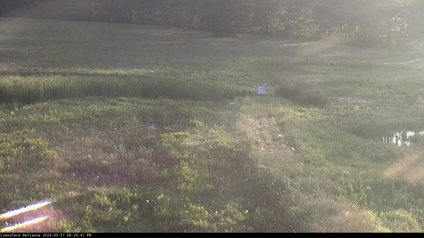 Cell 1 to 2_24-05-31_20-29-42-33