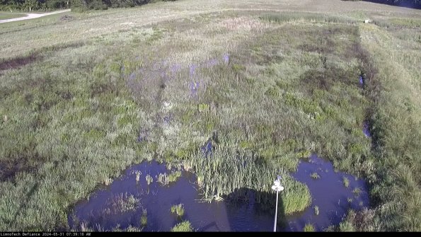 Cell 1_24-05-31_07-39-11-33