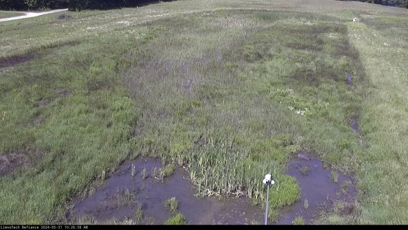 Cell 1_24-05-31_10-26-39-34