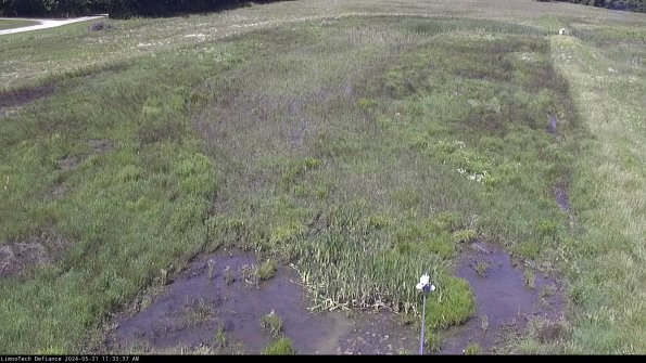 Cell 1_24-05-31_11-33-38-34