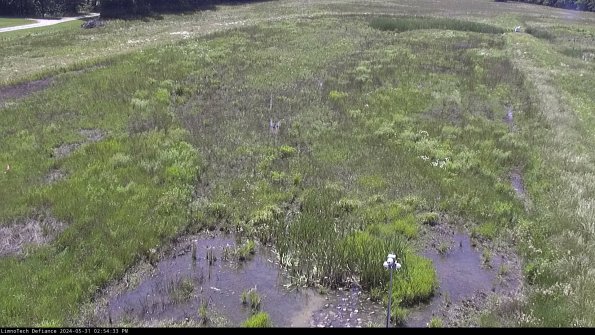 Cell 1_24-05-31_14-54-34-33