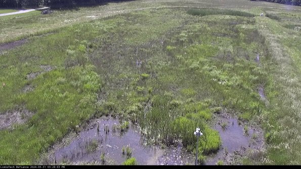 Cell 1_24-05-31_15-28-04-35