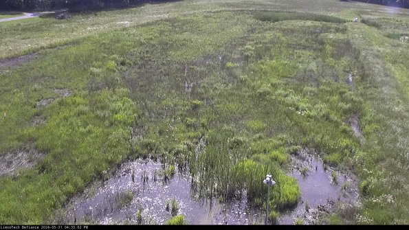 Cell 1_24-05-31_16-35-03-32