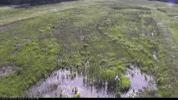 Cell 1_24-05-31_17-08-31-33