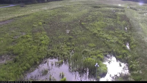 Cell 1_24-05-31_18-15-29-34