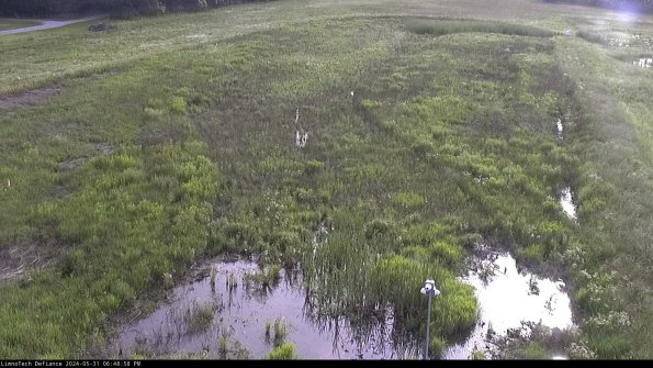 Cell 1_24-05-31_18-48-59-33