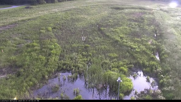 Cell 1_24-05-31_19-55-58-33