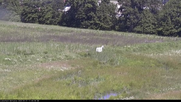 Cell 2 to 3_24-05-31_11-00-49-43