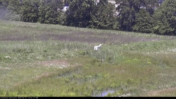 Cell 2 to 3_24-05-31_12-41-17-49