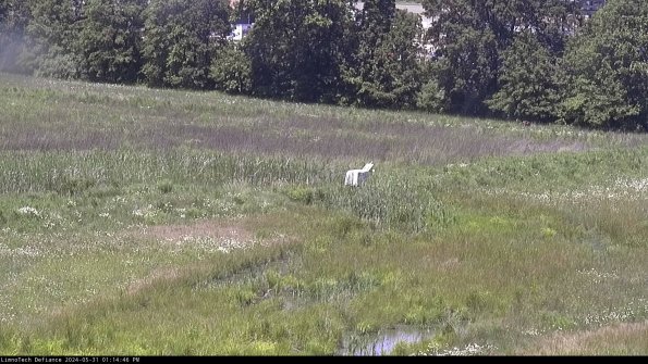 Cell 2 to 3_24-05-31_13-14-46-47