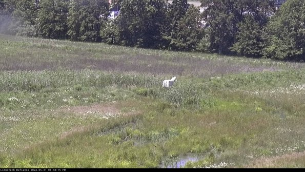 Cell 2 to 3_24-05-31_13-48-16-43