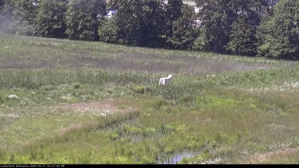 Cell 2 to 3_24-05-31_14-21-45-35