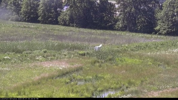 Cell 2 to 3_24-05-31_15-28-44-42