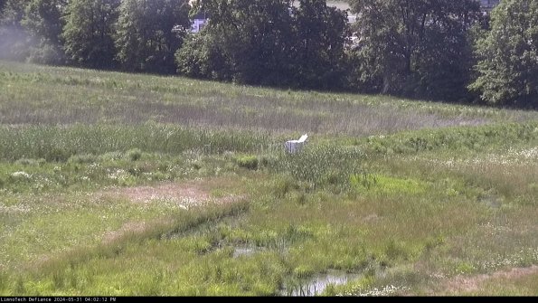 Cell 2 to 3_24-05-31_16-02-12-50